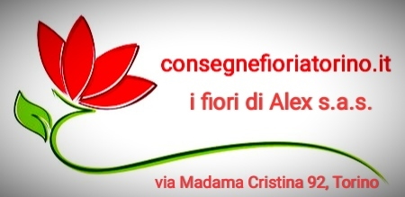 Fiorista Torino