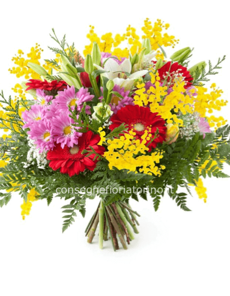 Mazzo di fiori mix più mimosa